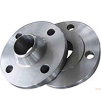 ASTM A182 SS 317 Forged Flanges